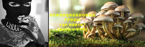 spice Лихославль