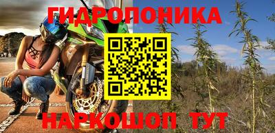 прущие крисы Гагарин