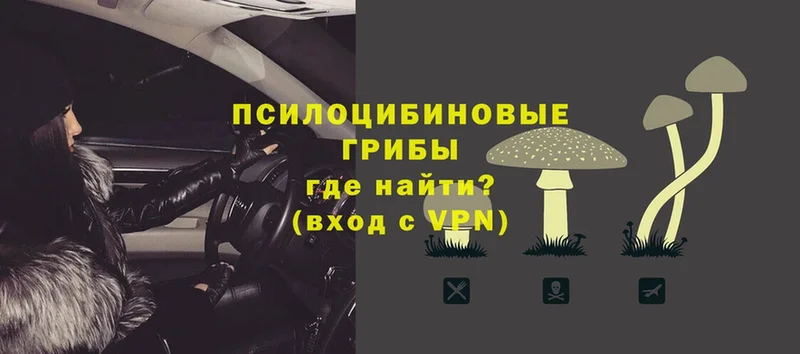 Псилоцибиновые грибы Magic Shrooms  Железногорск 