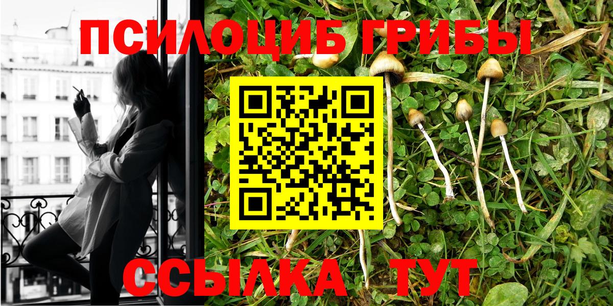 Псилоцибиновые грибы прущие грибы  Псилоцибиновые грибы прущие грибы  Железногорск  Вход с VPN 