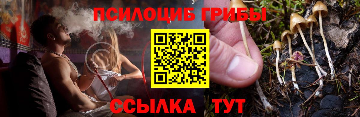 Галлюциногенные грибы мухоморы Железногорск