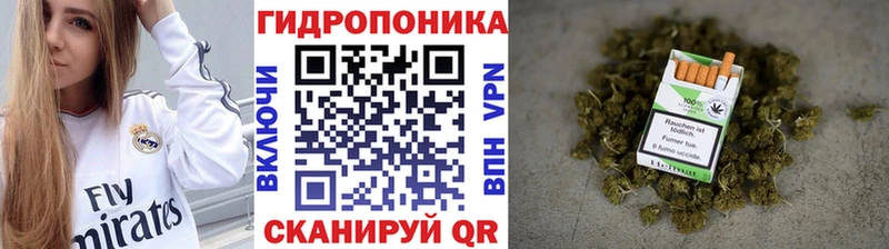 наркотики  Железногорск  Конопля Amnesia 